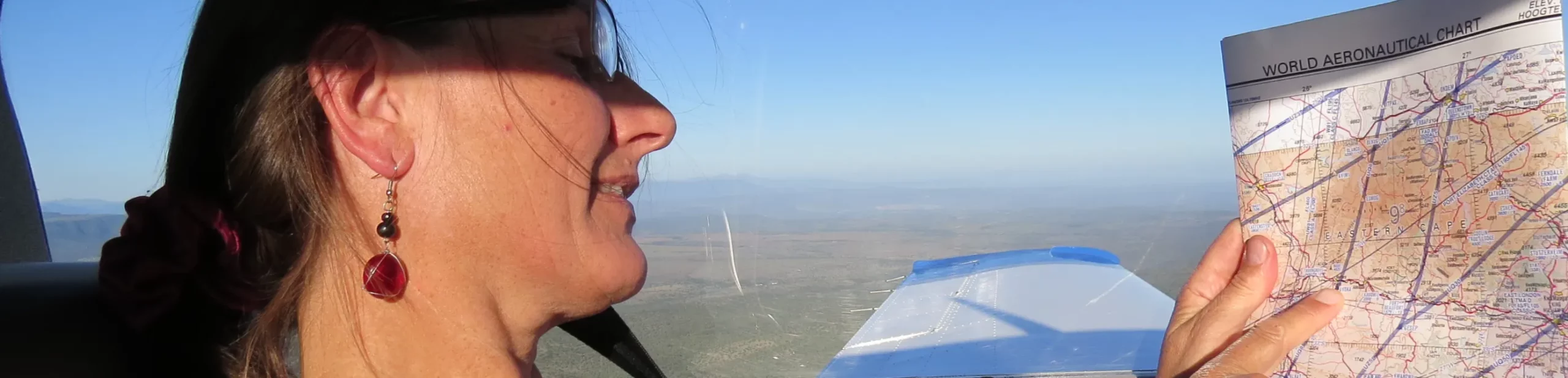 Pilot Flying an Aircraft